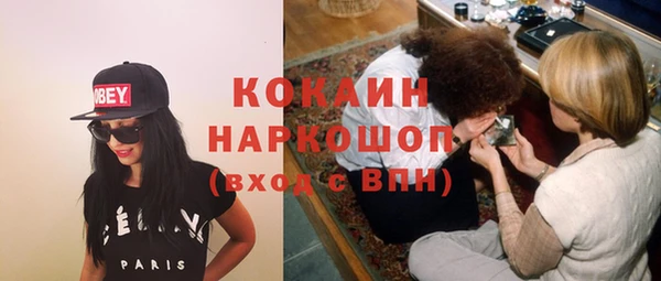 соль ск Краснослободск