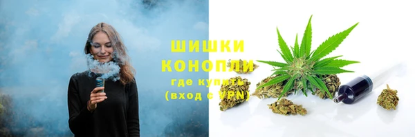 соль ск Краснослободск
