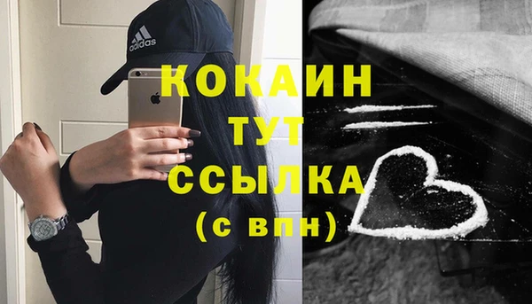 соль ск Краснослободск