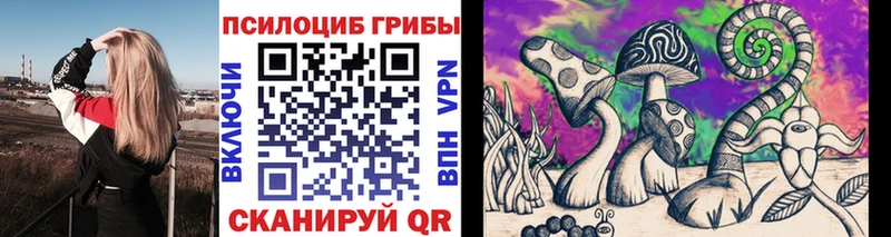 Галлюциногенные грибы Psilocybine cubensis купить Краснозаводск